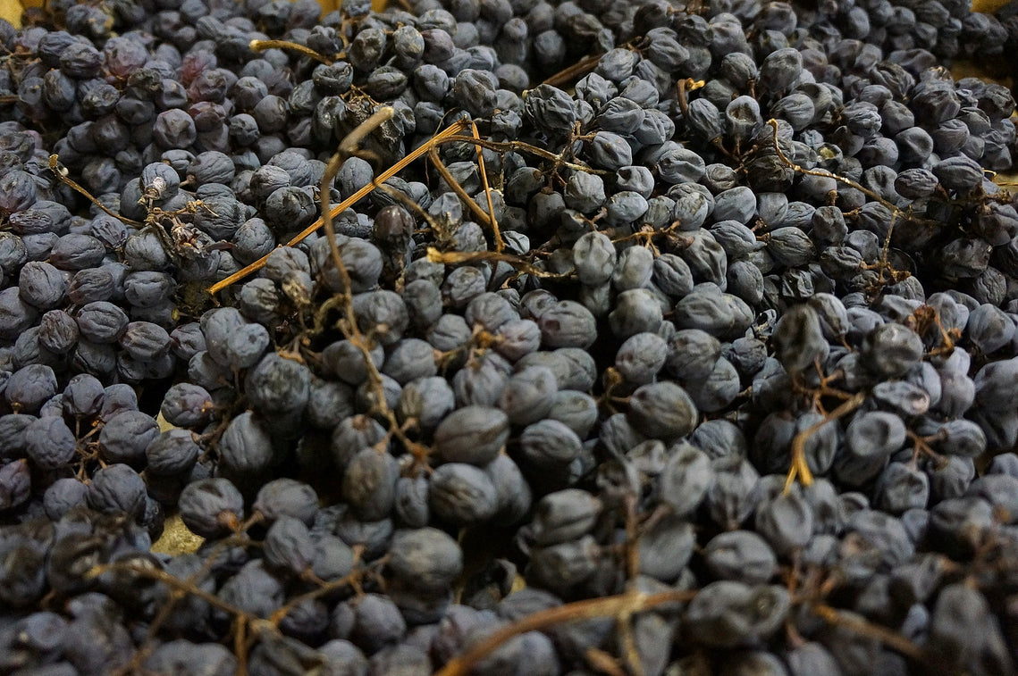 Amarone - julen er intens, krydret og sødmefuld