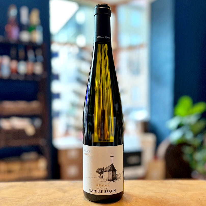 Muscat Bollenberg, Camille Braun, 2023