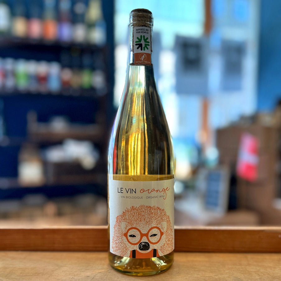 Hedgehog Orange 2024