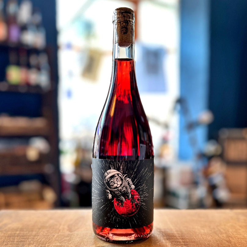 Light Speed, Felicette Wine, 2025