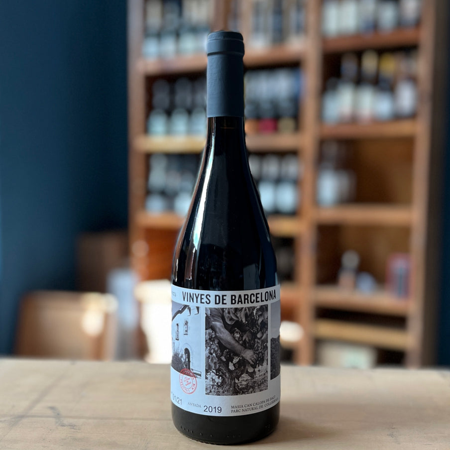 Vinyes de Barcelona, L'Olivera, 2021