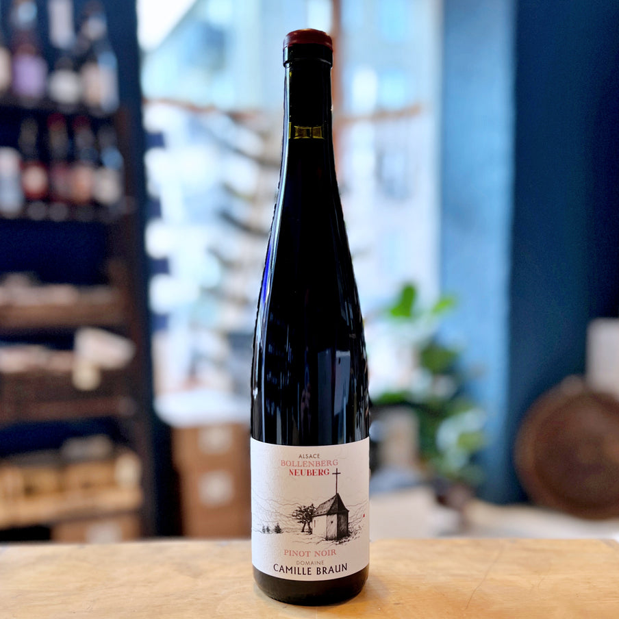 Pinot Noir Bollenberg-Neuberg, Camille Braun, 2023